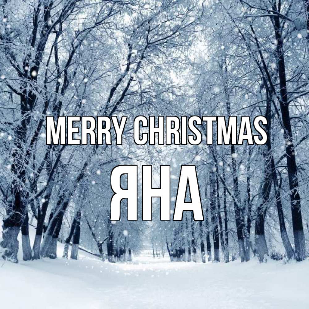 Greetings card с именем, Яна Merry Christmas снег, лес, парк Greetings with text for free download 