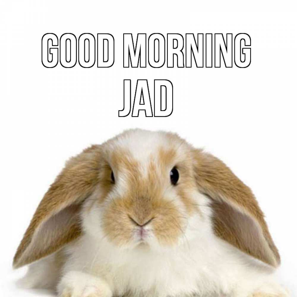 Greetings card с именем, Jad Good morning прикольные открытки на каждый день Greetings with text for free download 
