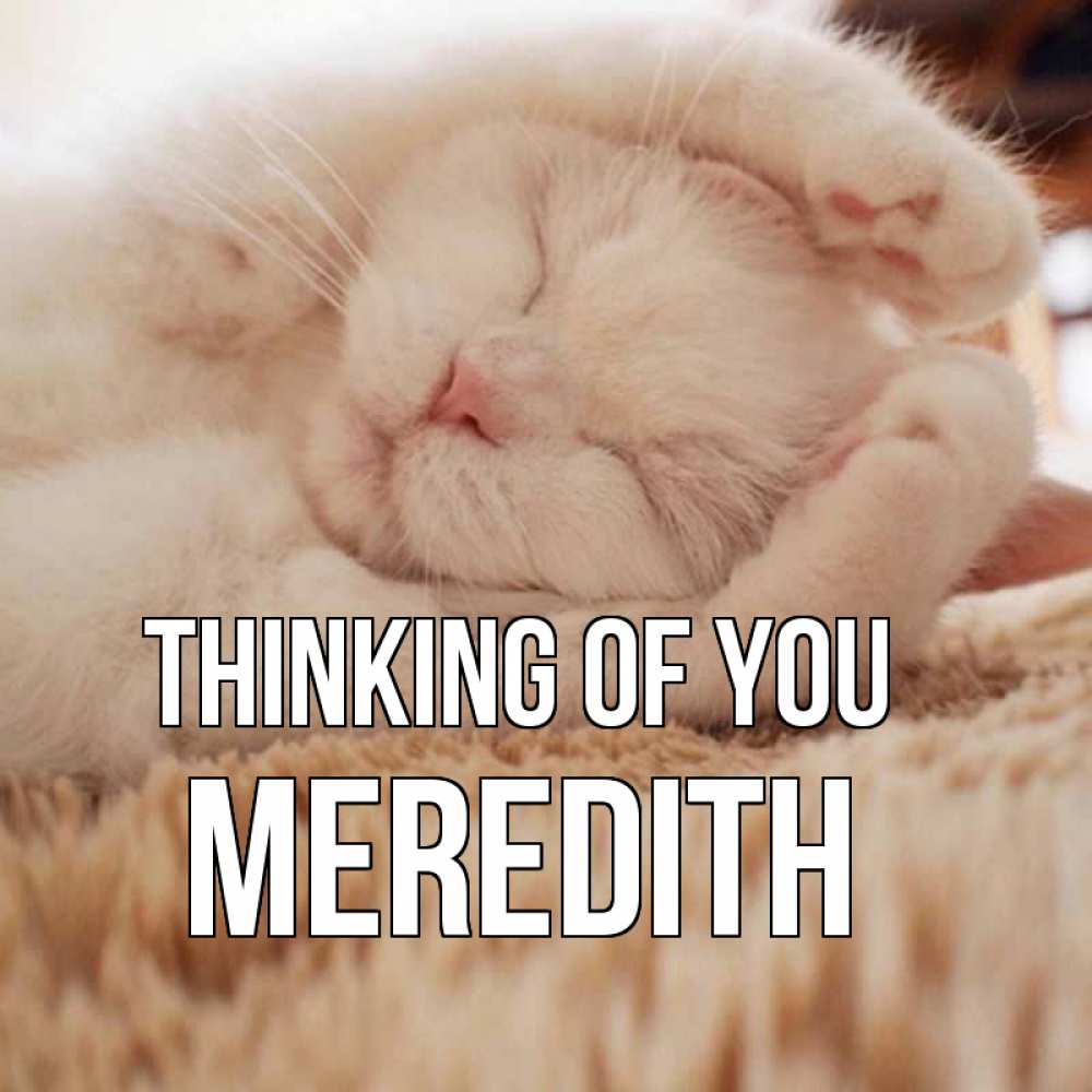 Greetings card с именем, Meredith Thinking of you для любимой девушки милота Greetings with text for free download 