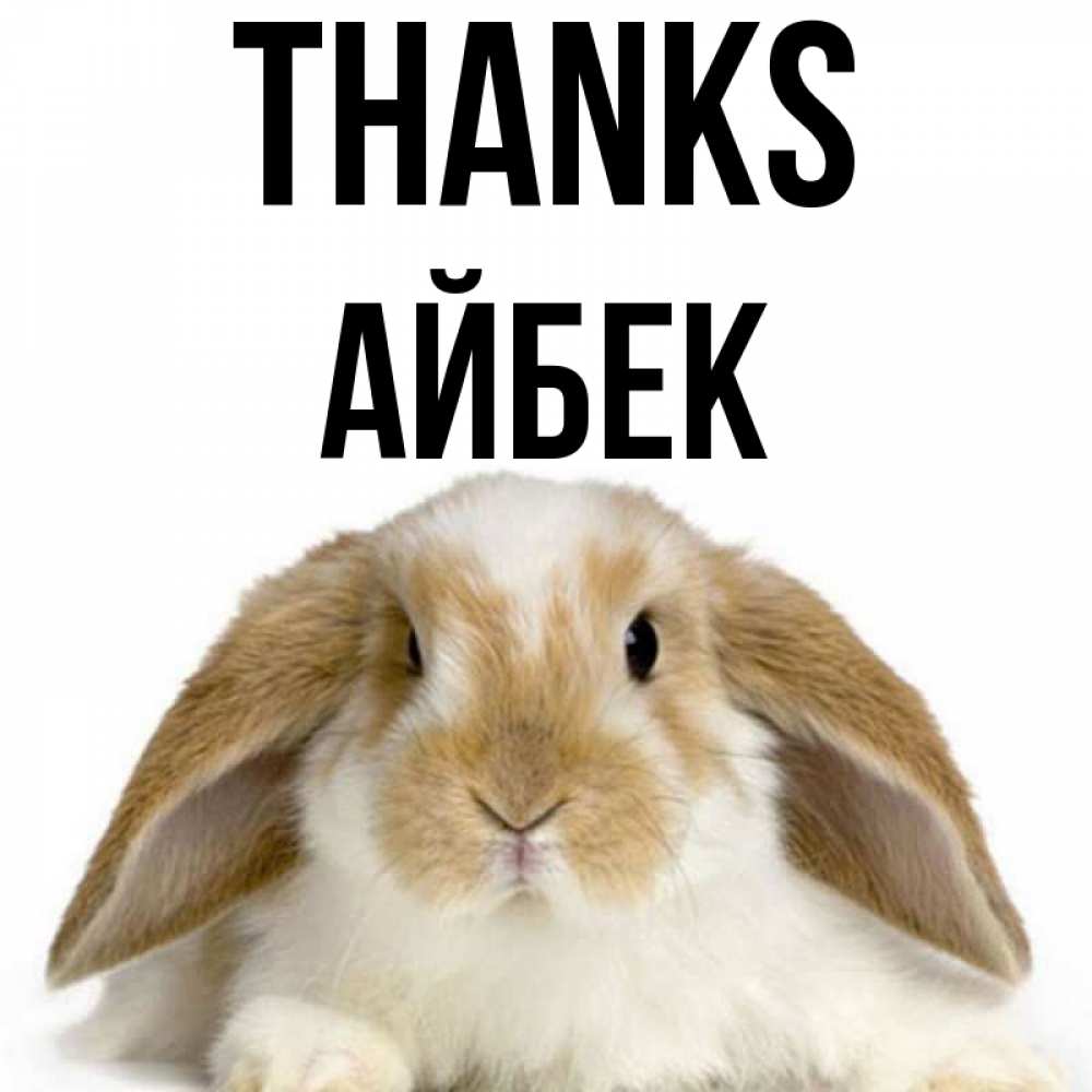 Greetings card с именем, Айбек Thanks коричнево белый заяц Greetings with text for free download 