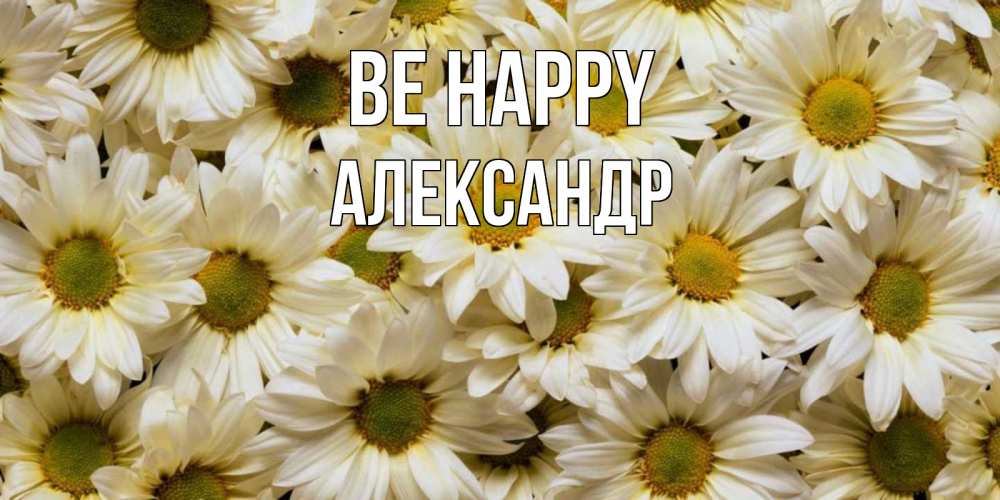 Greetings card с именем, Александр Be happy крупные ромашки Greetings with text for free download 