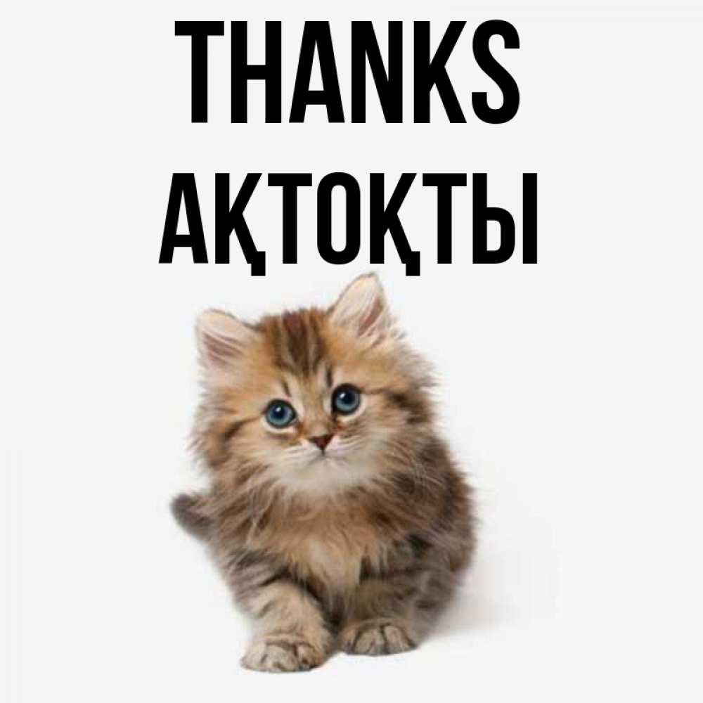 Greetings card с именем, АҚТОҚТЫ Thanks пушистый котик Greetings with text for free download 