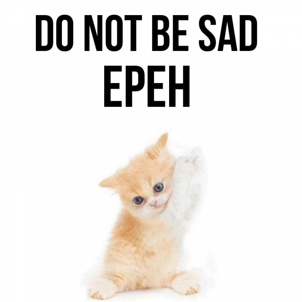 Greetings card с именем, Ерен Do not be sad просящий кот Greetings with text for free download 