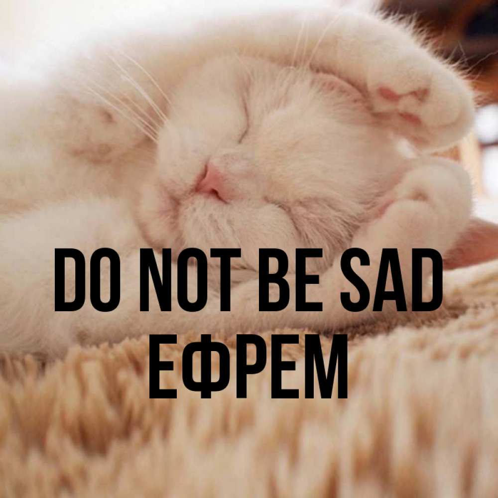 Greetings card с именем, Ефрем Do not be sad Котенок спит Greetings with text for free download 