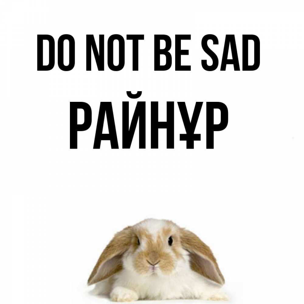 Greetings card с именем, РАЙНҰР Do not be sad коричнево белый заяц с большими ушками Greetings with text for free download 