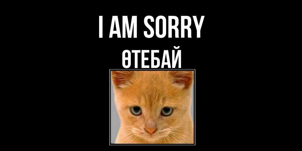 Greetings card с именем, ӨТЕБАЙ I am sorry рыжий грустный кот просит прощения Greetings with text for free download 