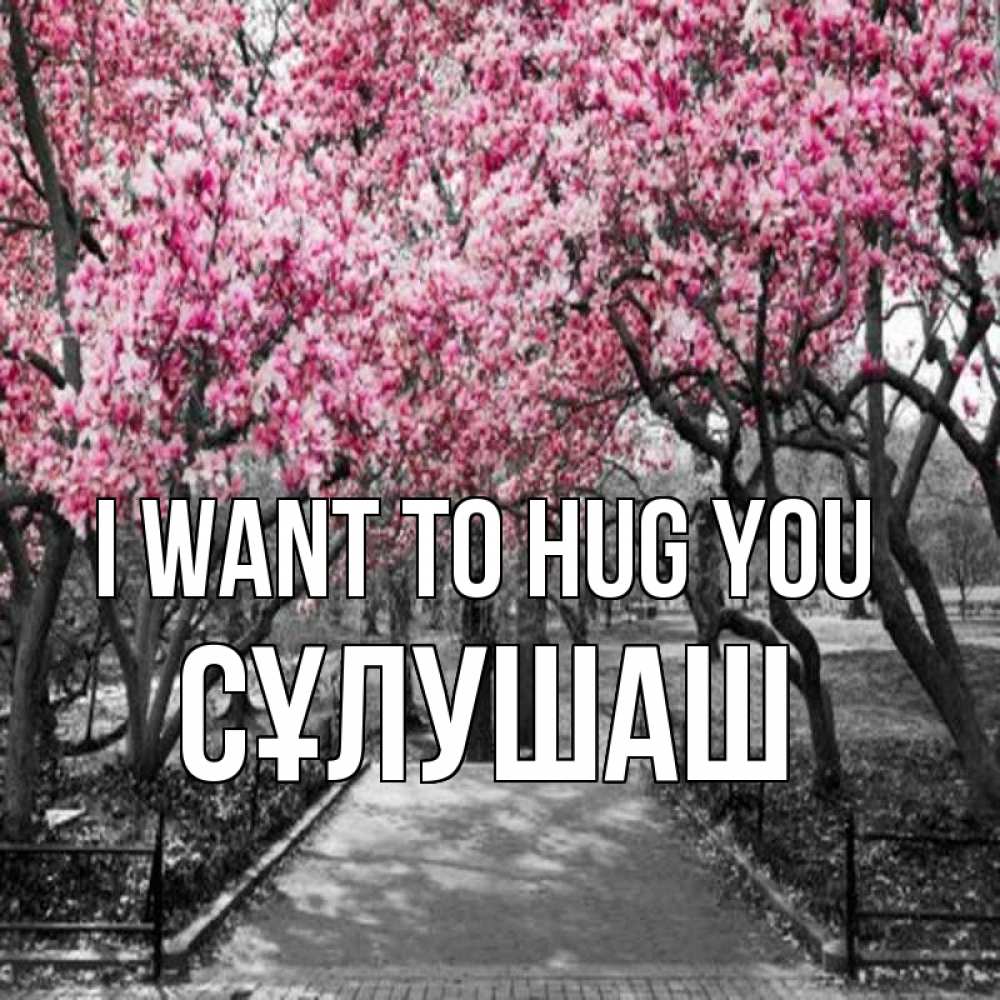 Greetings card с именем, СҰЛУШАШ I want to hug you обработанное фото Greetings with text for free download 