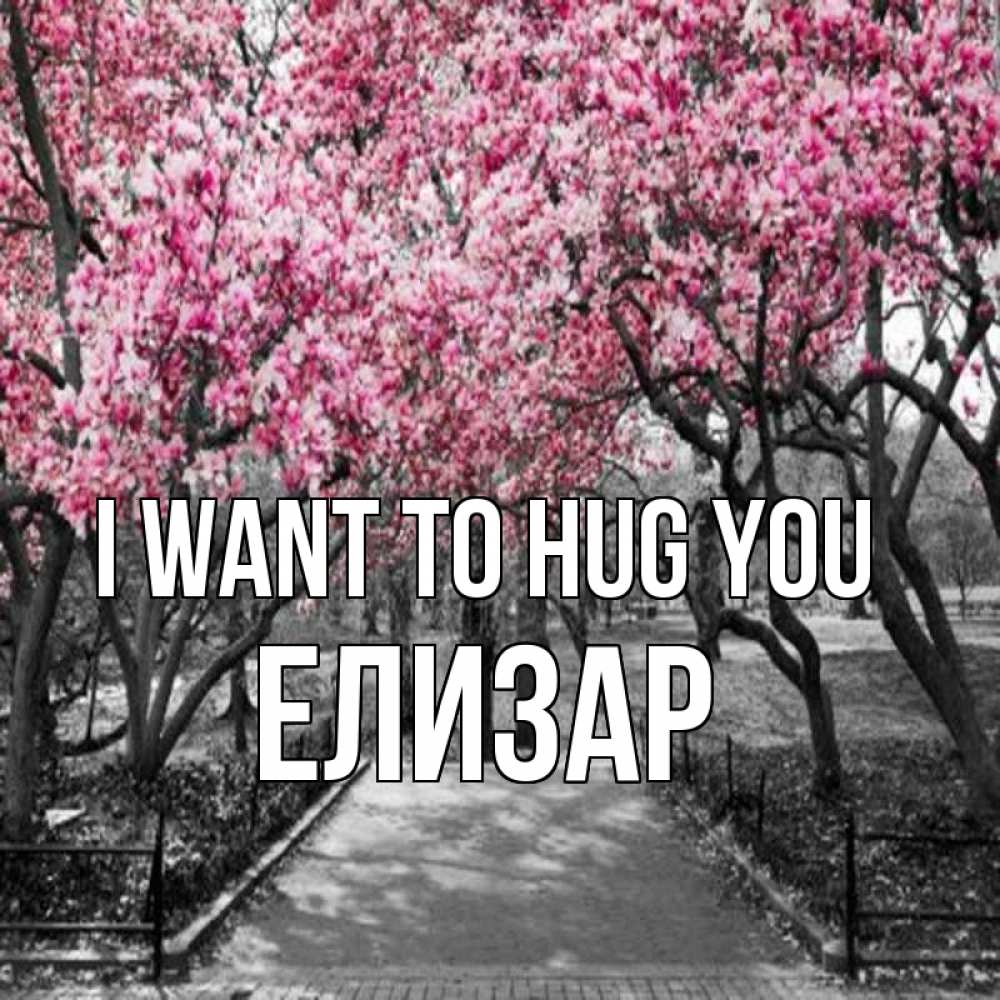 Greetings card с именем, Елизар I want to hug you обработанное фото Greetings with text for free download 