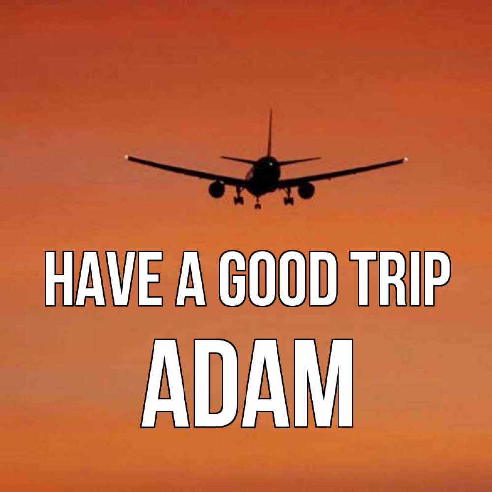 Greetings card с именем, Adam Have a good trip силуэт самолета Greetings with text for free download 