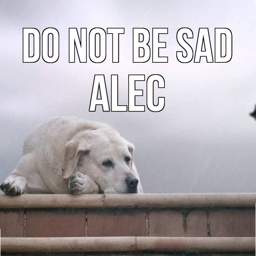 Greetings card с именем, Alec Do not be sad белый пес 1 Greetings with text for free download 