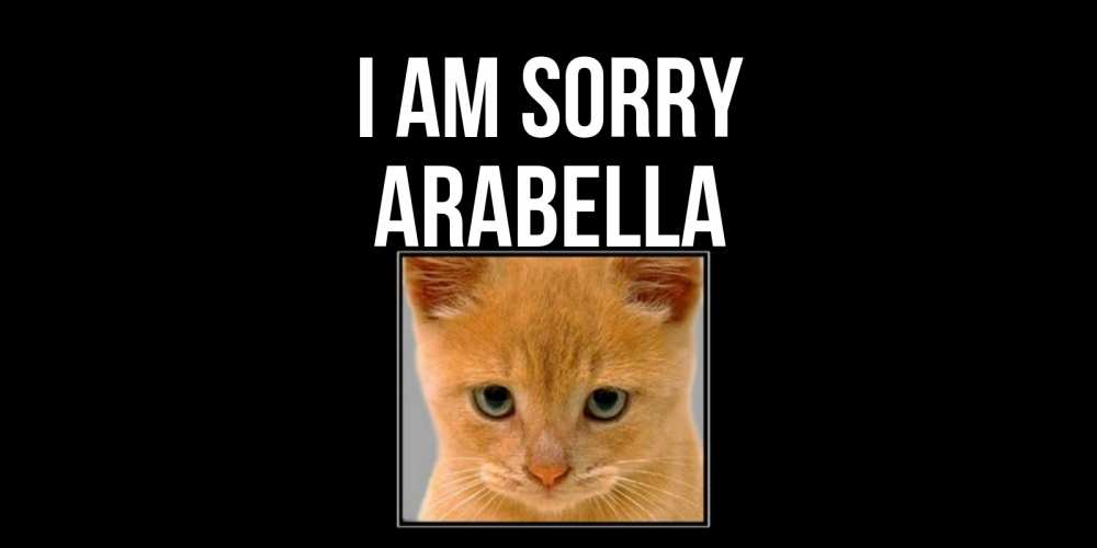 Greetings card с именем, Arabella I am sorry рыжий грустный кот просит прощения Greetings with text for free download 