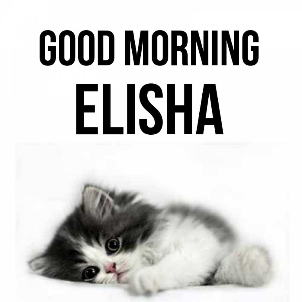 Greetings card с именем, Elisha Good morning кот лапки Greetings with text for free download 