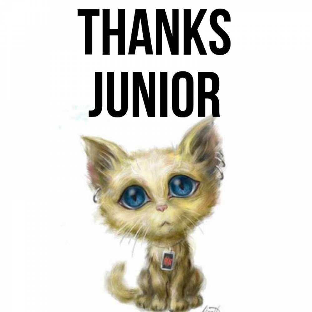 Greetings card с именем, Junior Thanks рисованный кот благодарит вас Greetings with text for free download 