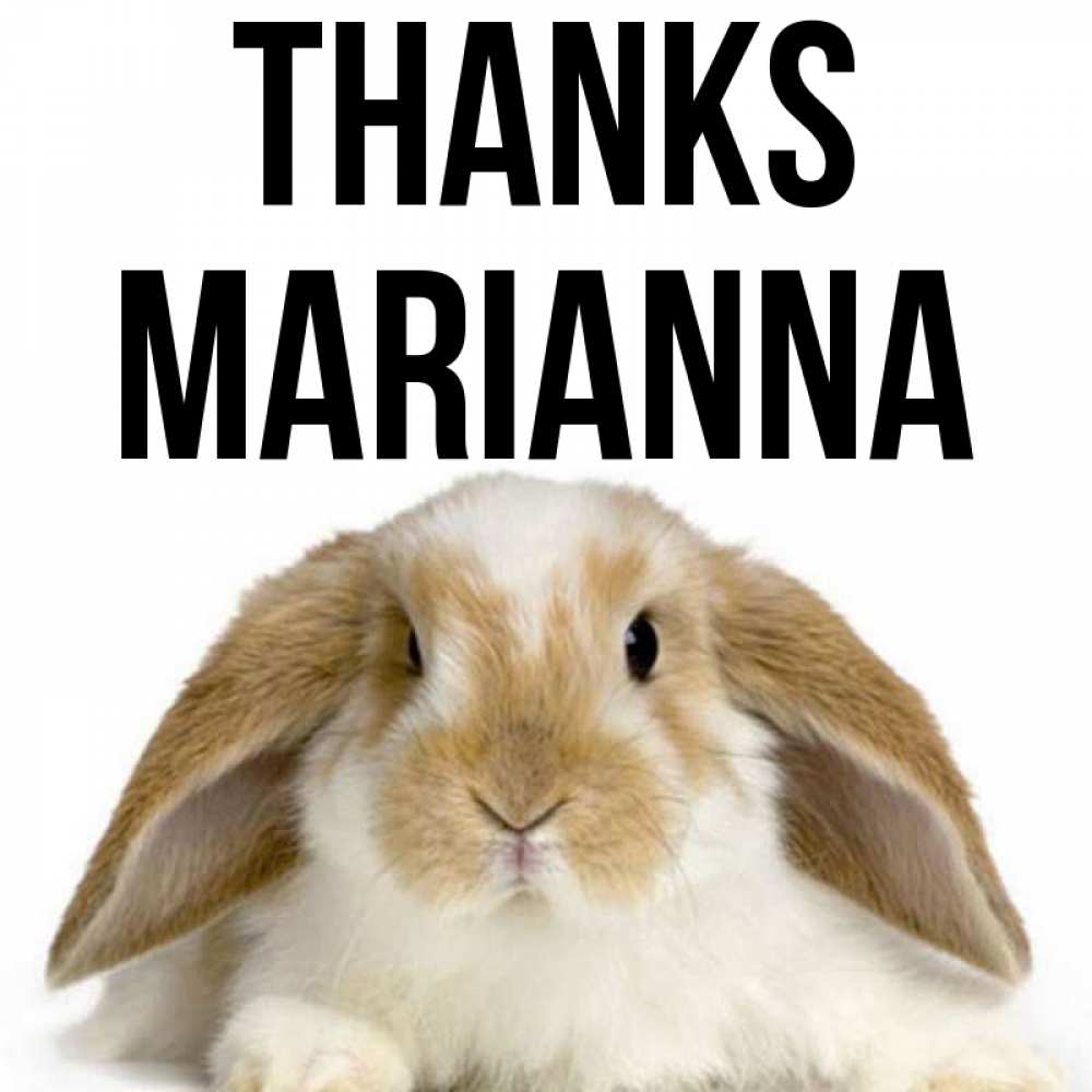 Greetings card с именем, Marianna Thanks коричнево белый заяц Greetings with text for free download 