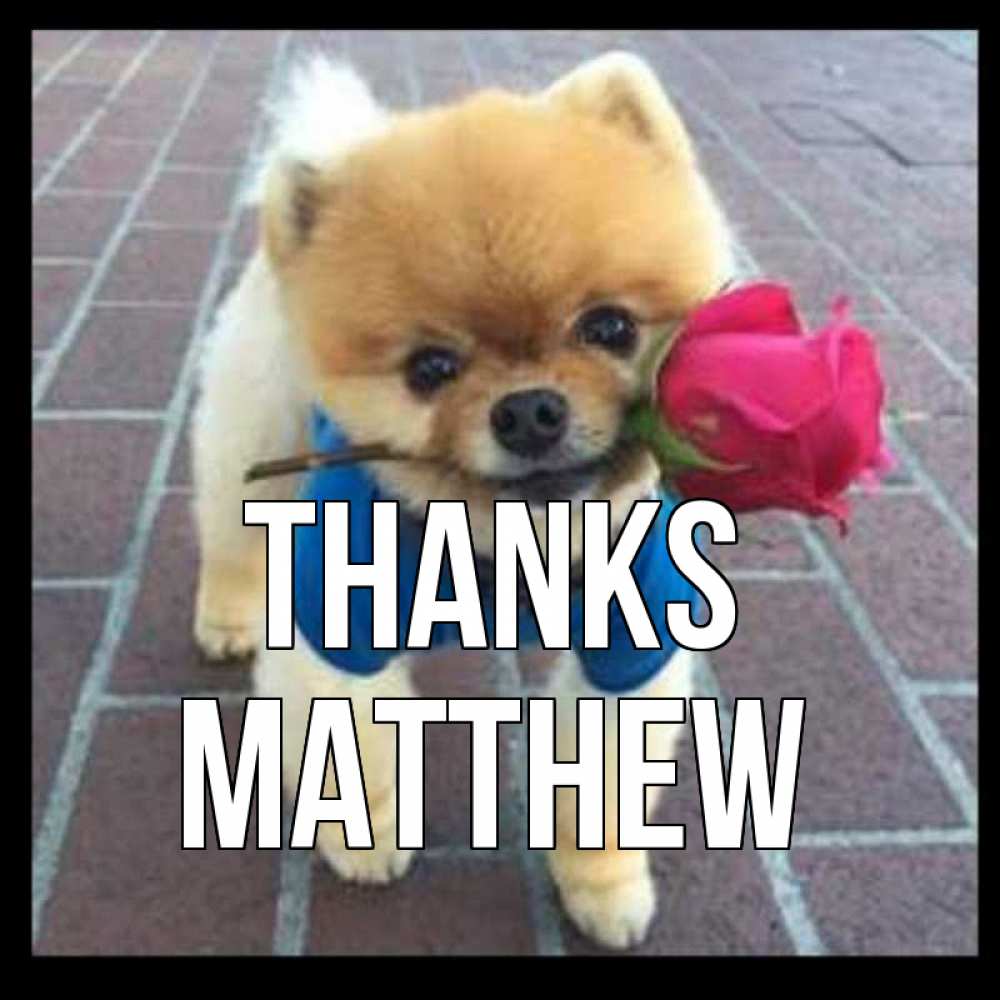 Greetings card с именем, Matthew Thanks спасибо и дарю тебе цветок Greetings with text for free download 