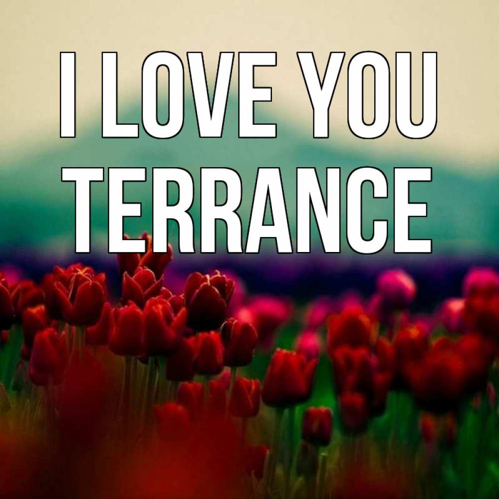 Greetings card с именем, Terrance I love you тюльпаны 4 Greetings with text for free download 