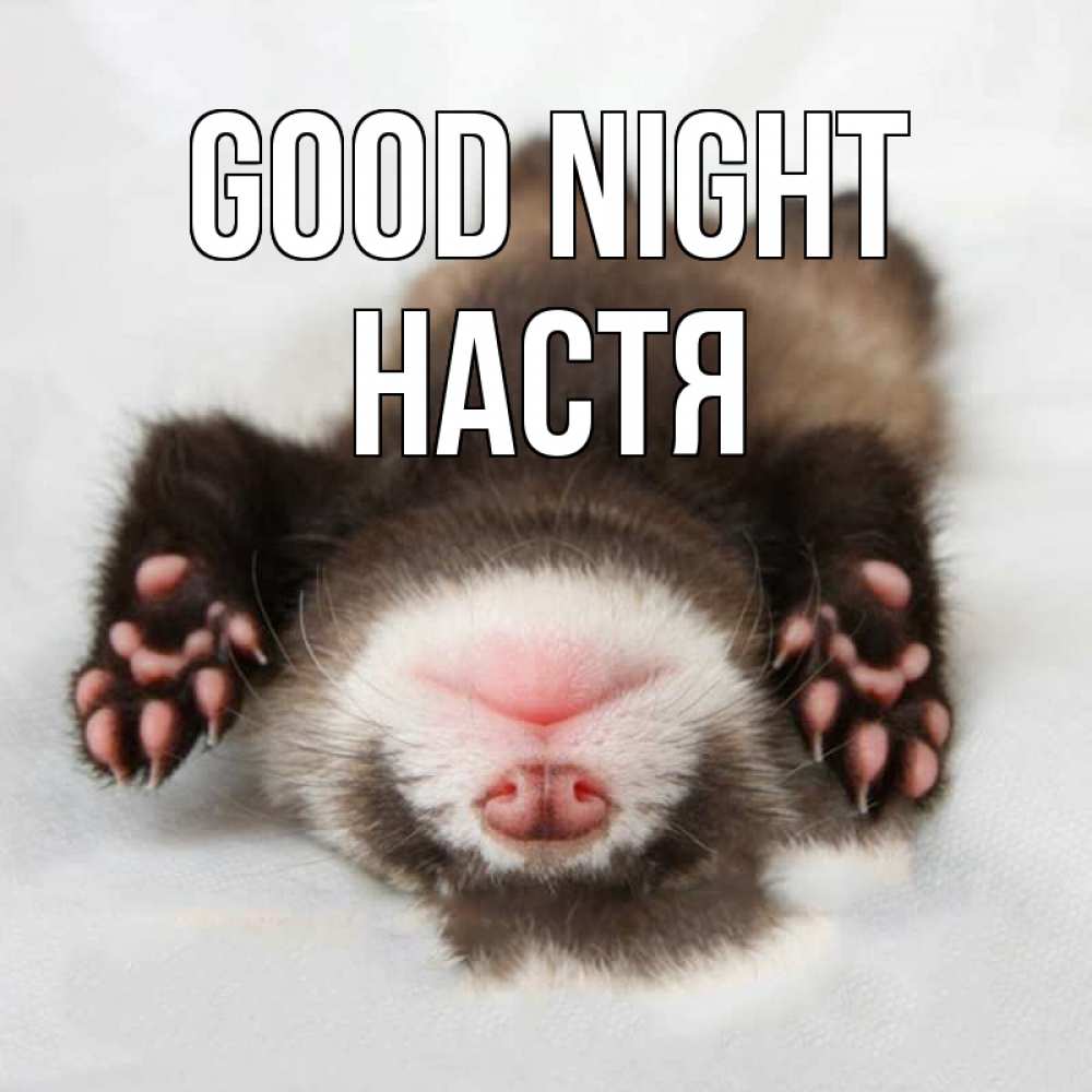 Greetings card с именем, Настя Good night зверек Greetings with text for free download 