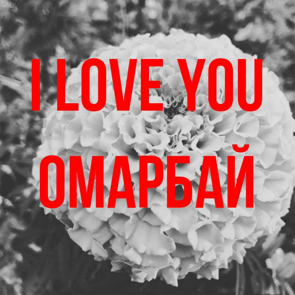Greetings card с именем, ОМАРБАЙ I love you подпись Greetings with text for free download 