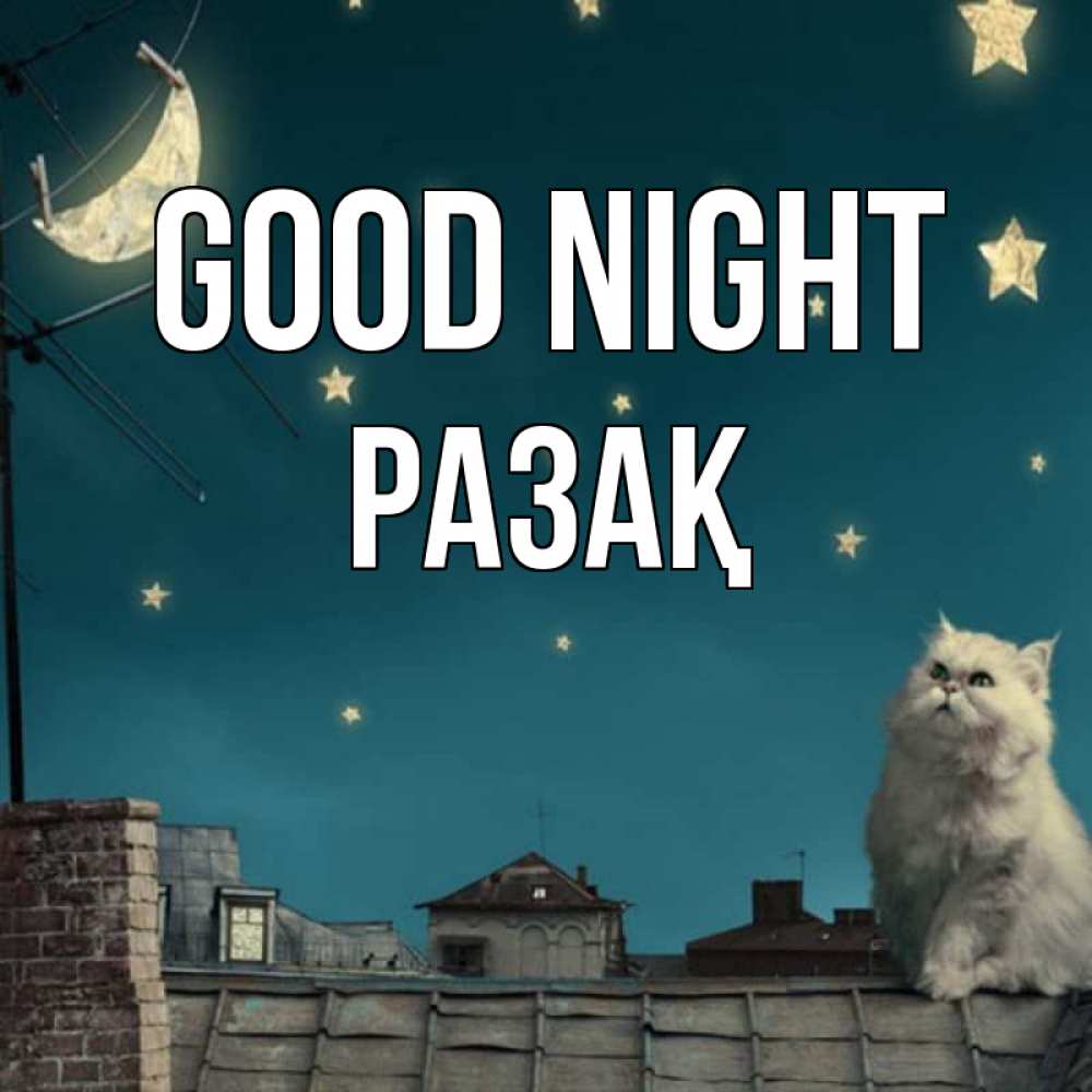 Greetings card с именем, РАЗАҚ Good night белый кот сидит на крыше Greetings with text for free download 