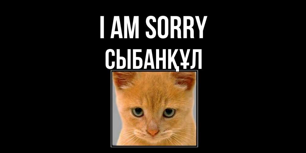 Greetings card с именем, СЫБАНҚҰЛ I am sorry рыжий грустный кот просит прощения Greetings with text for free download 