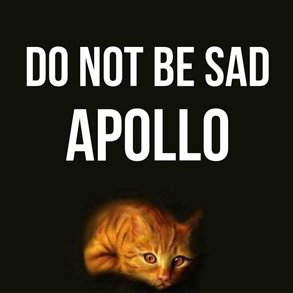 Greetings card с именем, Apollo Do not be sad лежащий кот в темноте Greetings with text for free download 