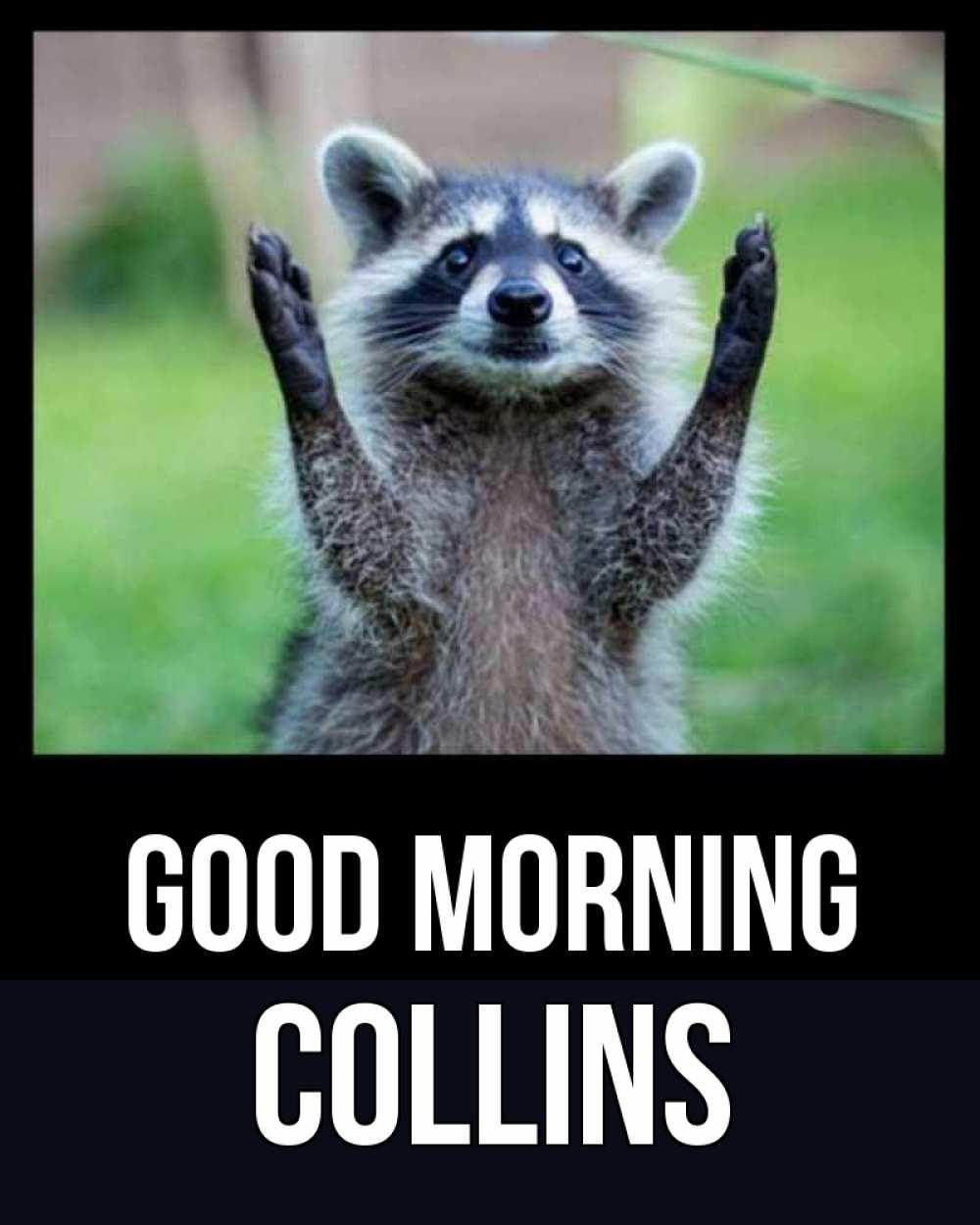 Greetings card с именем, Collins Good morning хорошее настроение утречком Greetings with text for free download 
