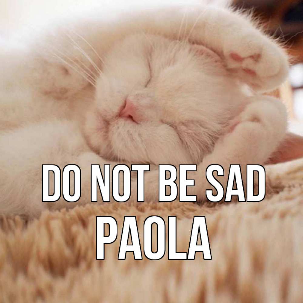 Greetings card с именем, Paola Do not be sad белый кот Greetings with text for free download 