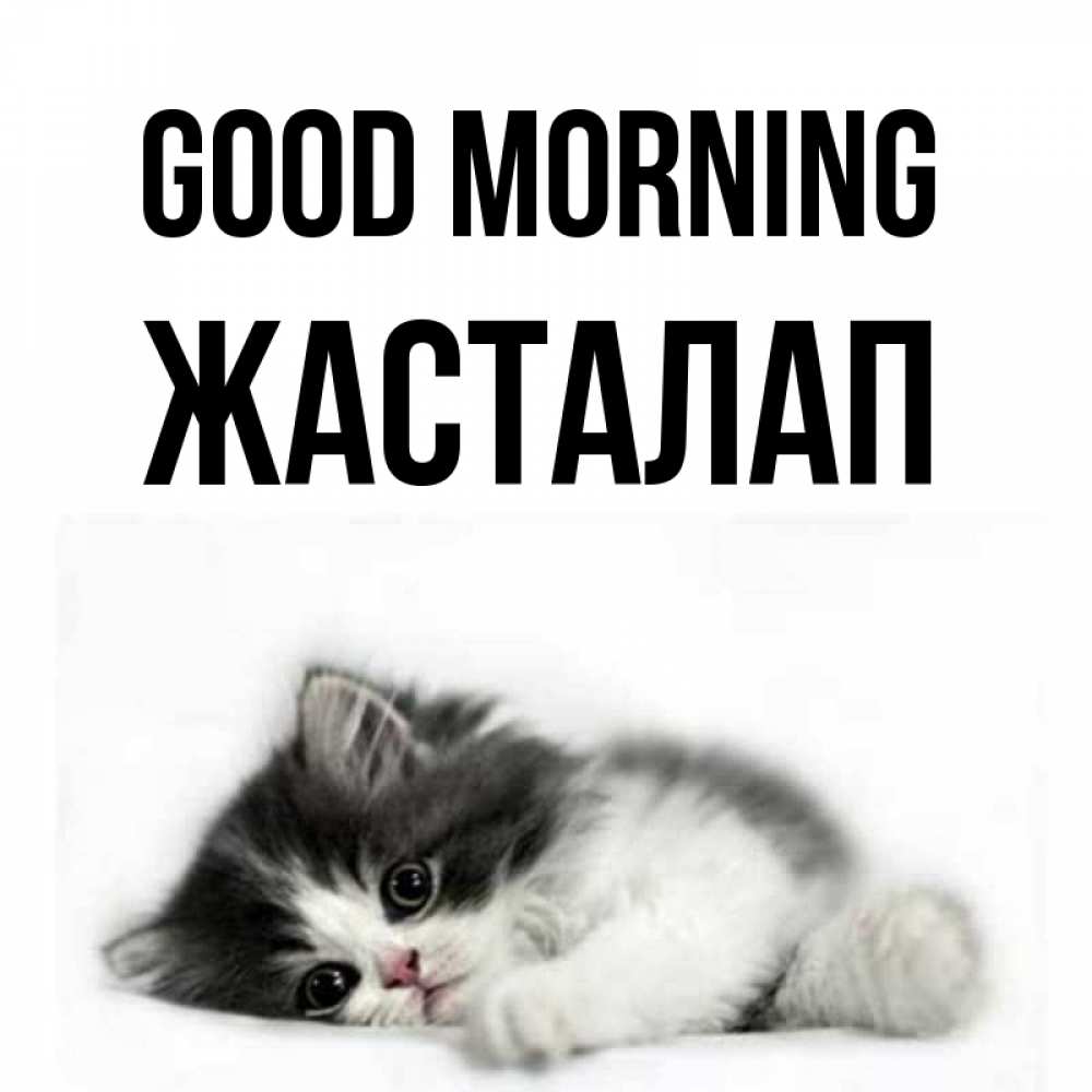 Greetings card с именем, Жасталап Good morning кот лапки Greetings with text for free download 