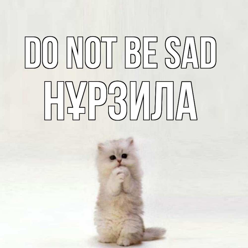 Greetings card с именем, НҰРЗИЛА Do not be sad грустный кот Greetings with text for free download 