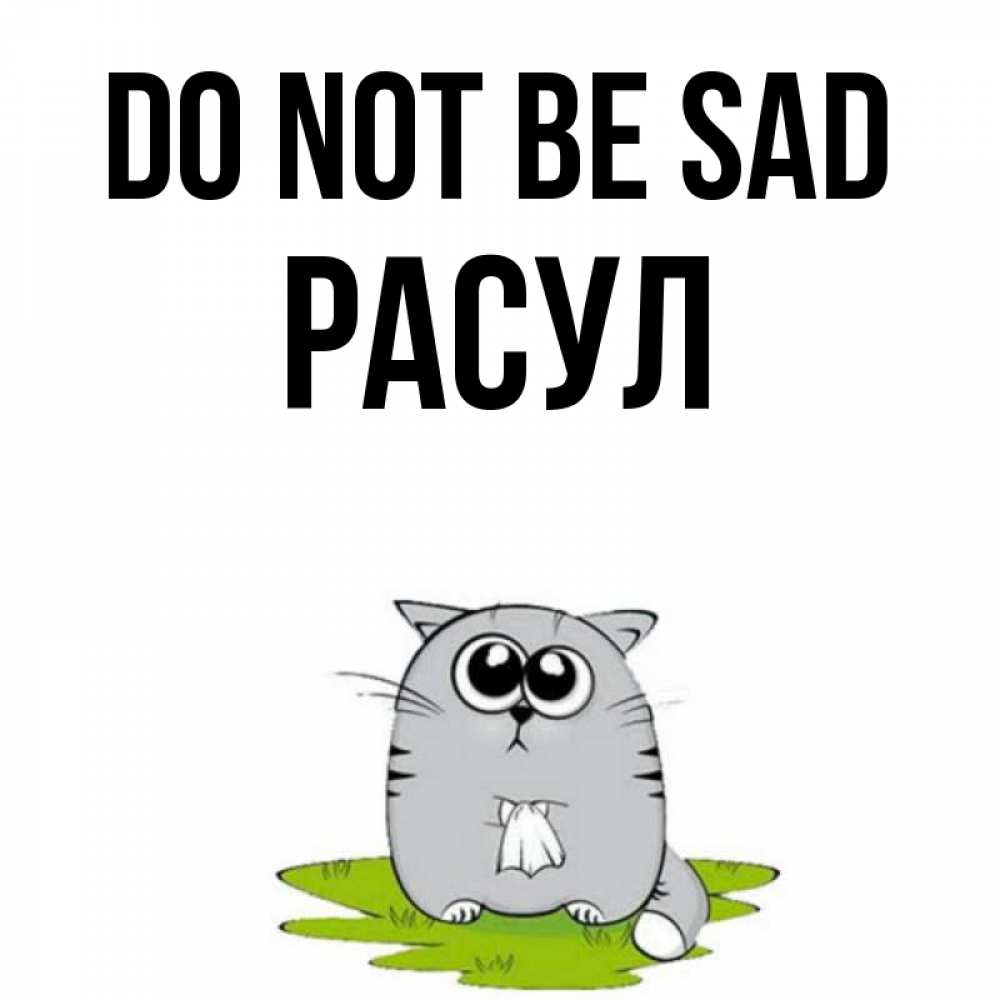 Greetings card с именем, РАСУЛ Do not be sad грустный котяра Greetings with text for free download 