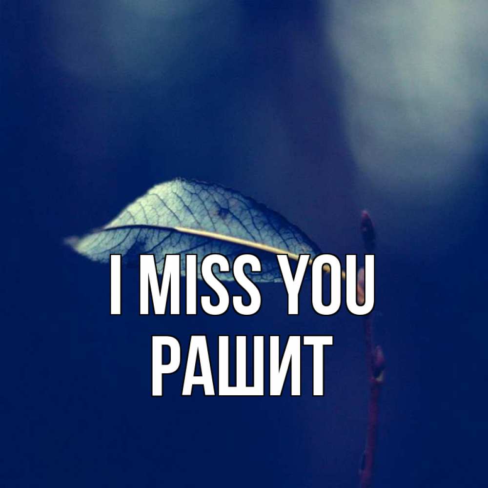 Greetings card с именем, РАШИТ I miss you одна ветка 1 Greetings with text for free download 