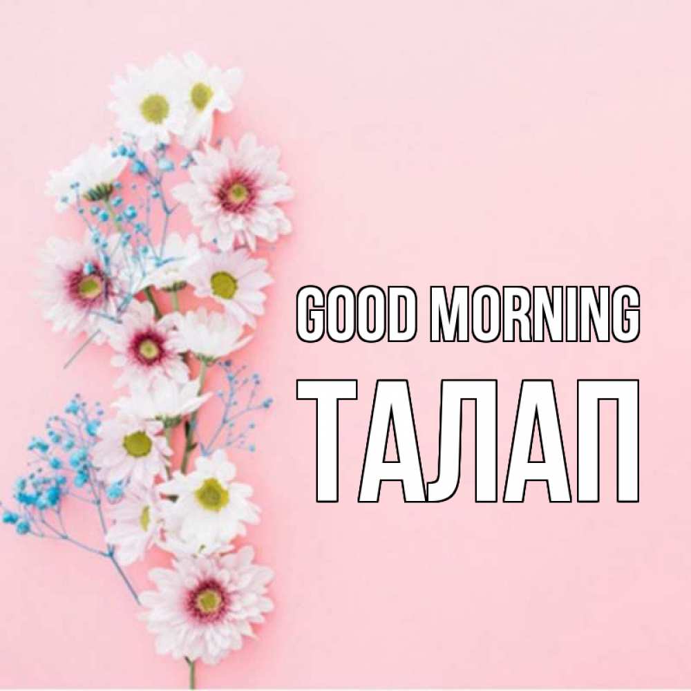 Greetings card с именем, ТАЛАП Good morning цветы с подписью Greetings with text for free download 