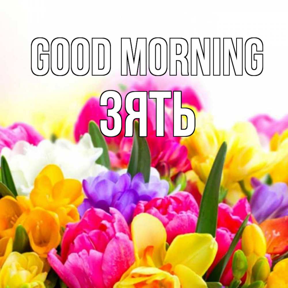 Greetings card с именем, Зять Good morning создать открытку со свое подписью Greetings with text for free download 