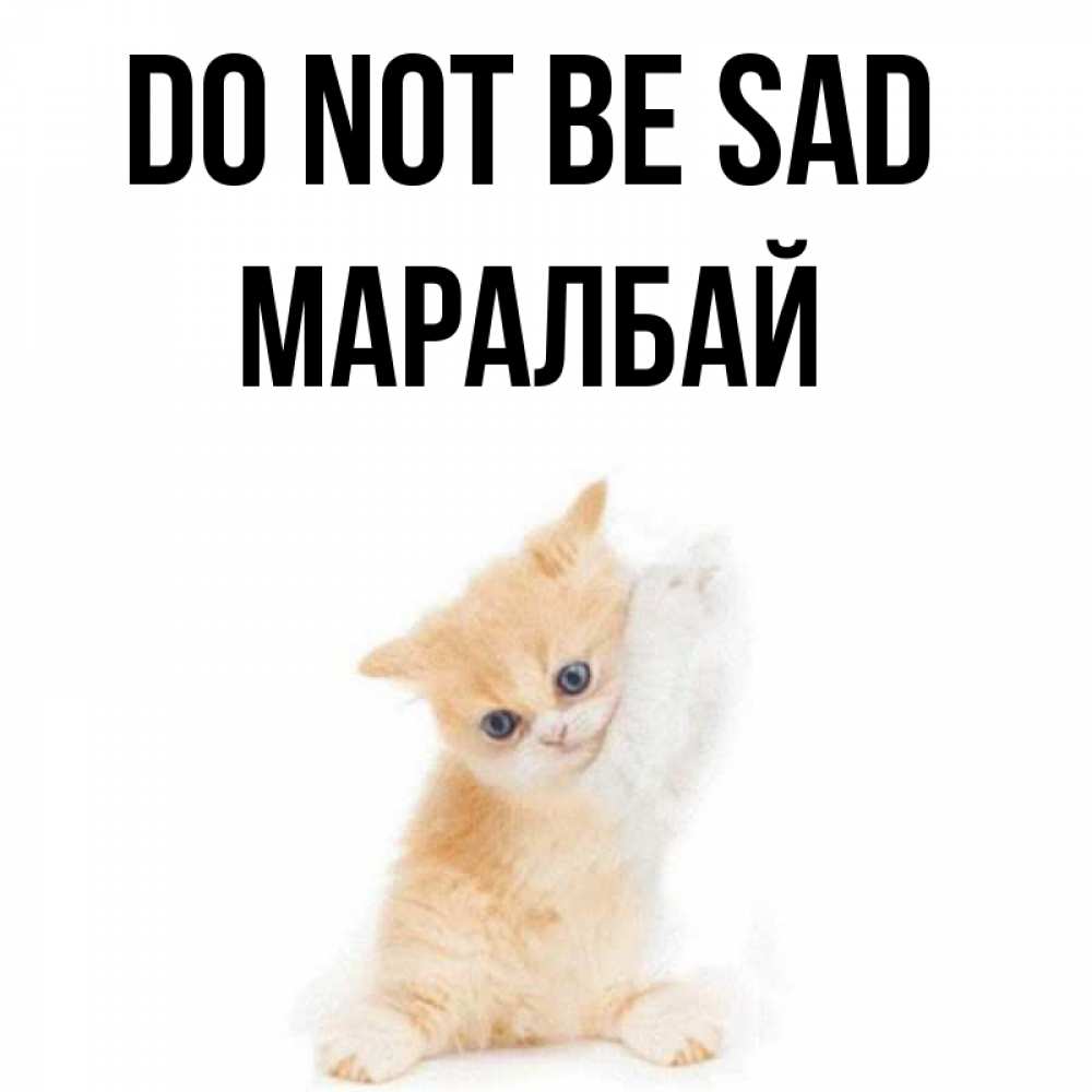 Greetings card с именем, МАРАЛБАЙ Do not be sad просящий кот Greetings with text for free download 