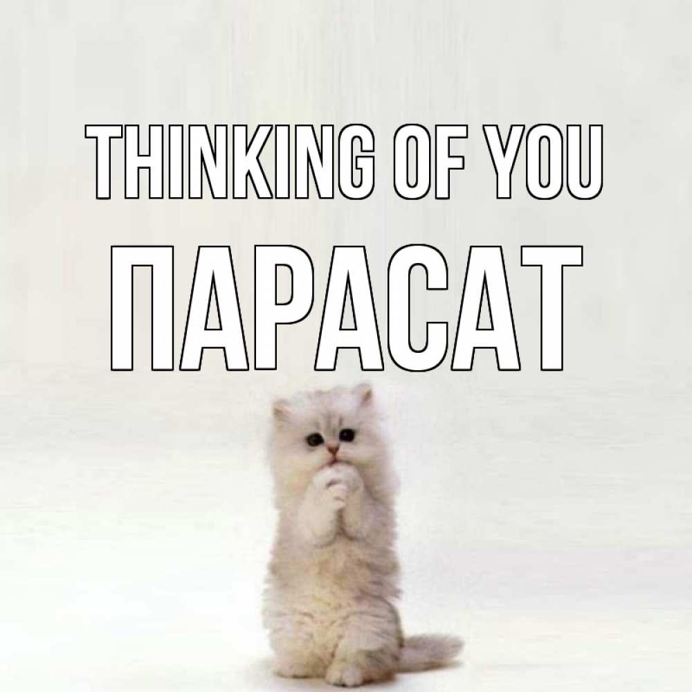 Greetings card с именем, ПАРАСАТ Thinking of you кот стоит на задних лапах Greetings with text for free download 