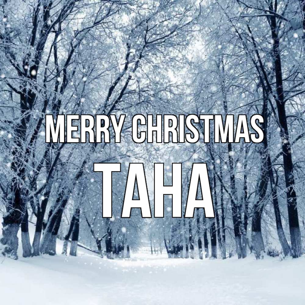 Greetings card с именем, ТАНА Merry Christmas снег, лес, парк Greetings with text for free download 