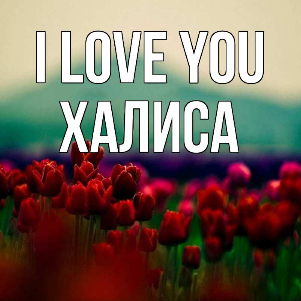 Greetings card с именем, ХАЛИСА I love you тюльпаны 4 Greetings with text for free download 