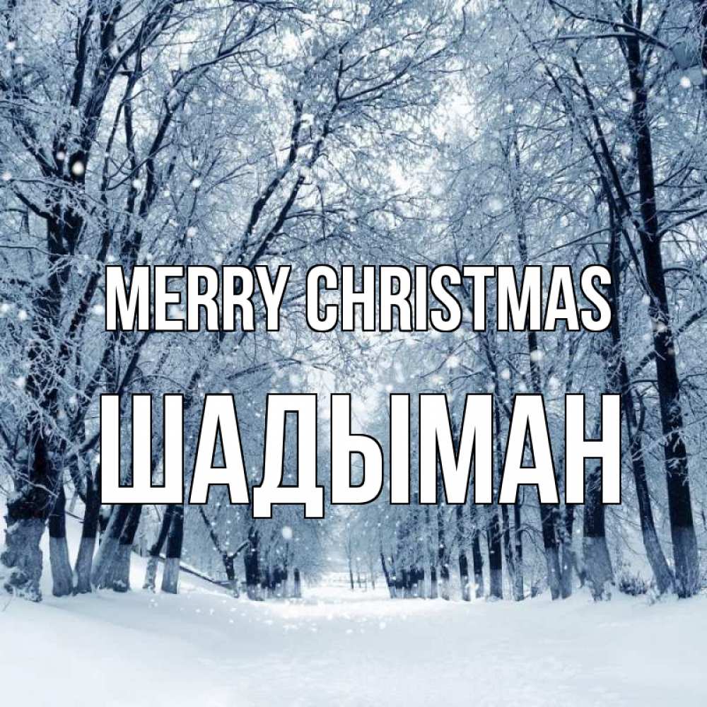 Greetings card с именем, ШАДЫМАН Merry Christmas снег, лес, парк Greetings with text for free download 