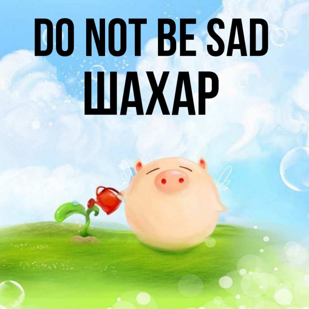 Greetings card с именем, ШАХАР Do not be sad поливает цветок порося Greetings with text for free download 