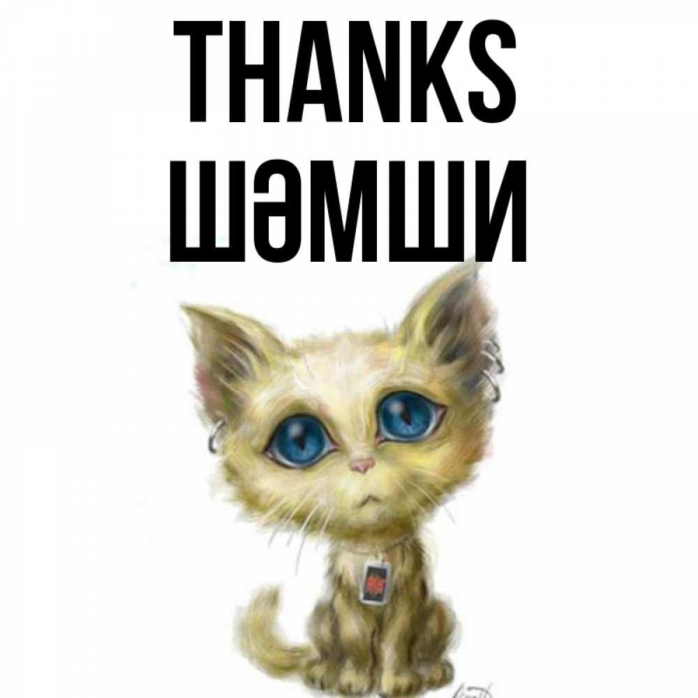 Greetings card с именем, ШӘМШИ Thanks рисованный кот благодарит вас Greetings with text for free download 