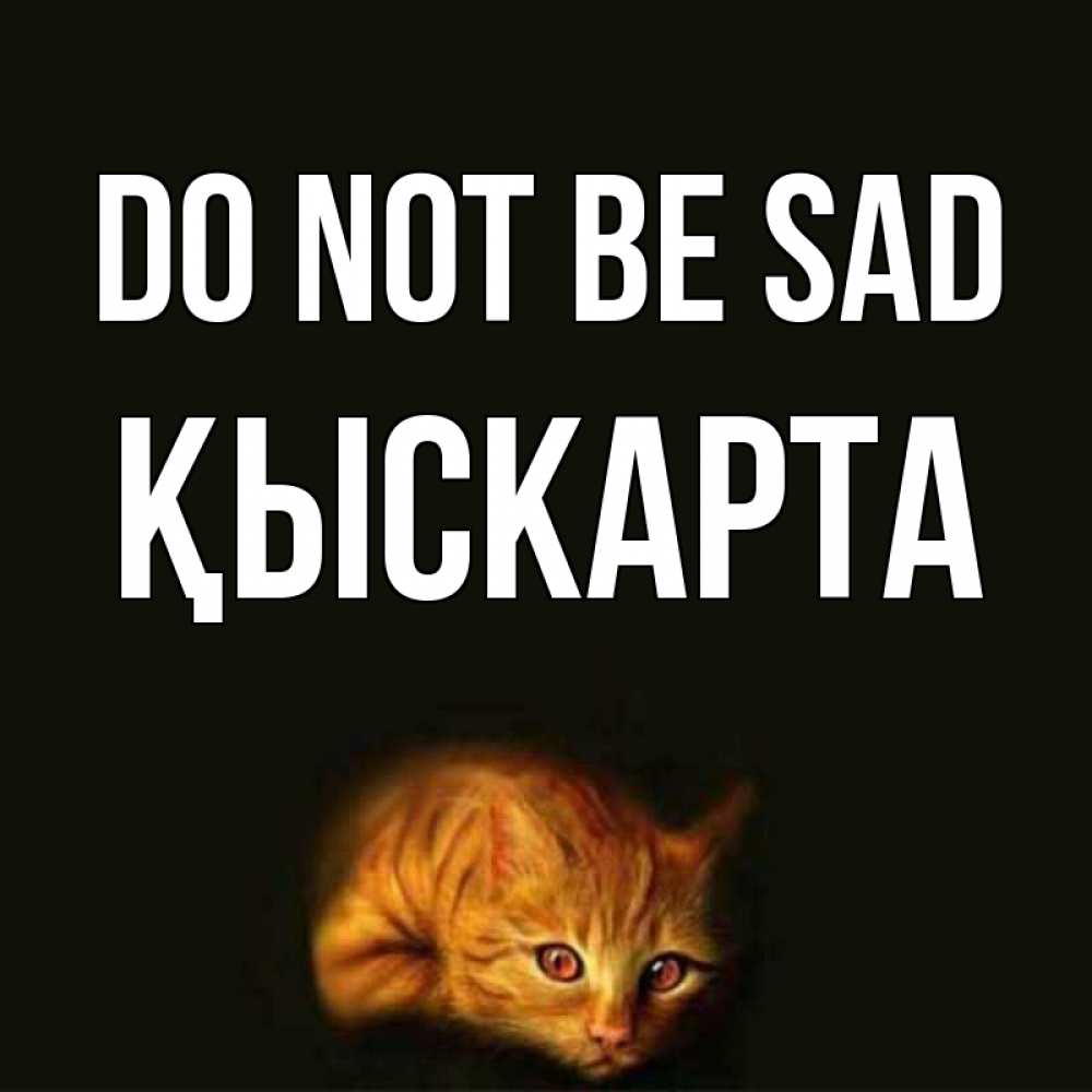 Greetings card с именем, Қыскарта Do not be sad лежащий кот в темноте Greetings with text for free download 