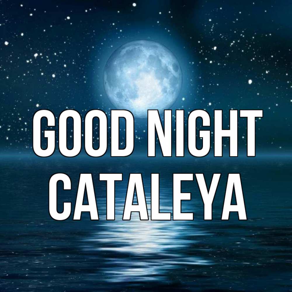 Greetings card с именем, Cataleya Good night звезды Greetings with text for free download 