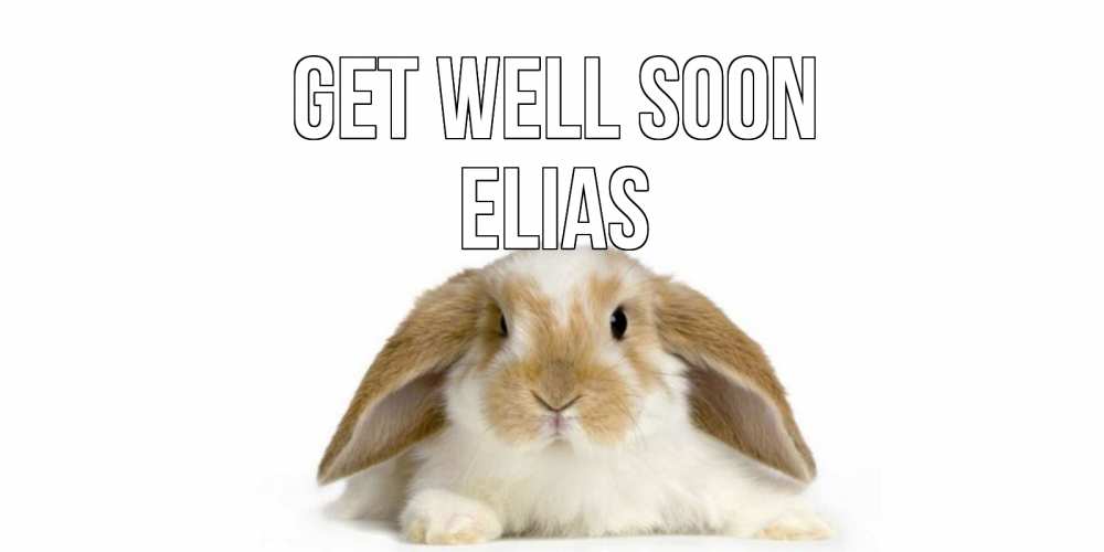 Greetings card с именем, Elias Get well soon вислоухий кролик белого и коричневого цвета Greetings with text for free download 