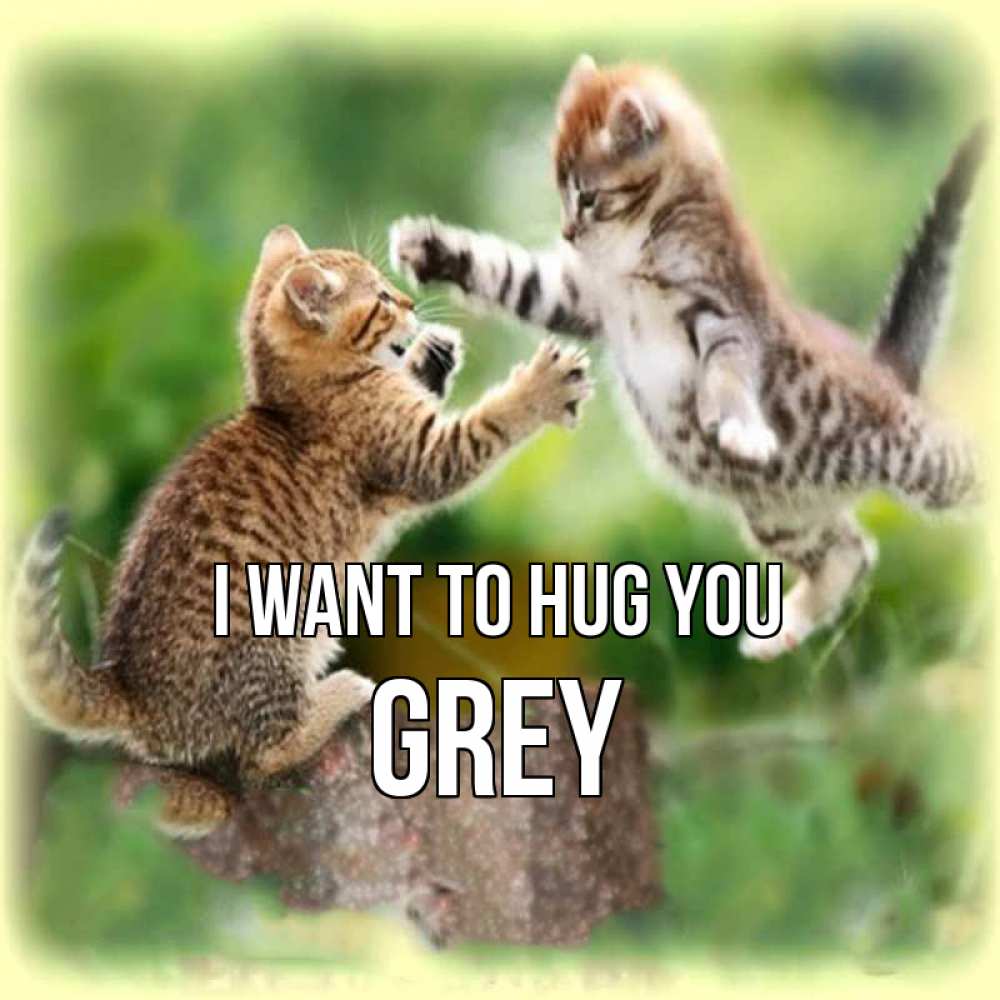 Greetings card с именем, Grey I want to hug you игры котят Greetings with text for free download 