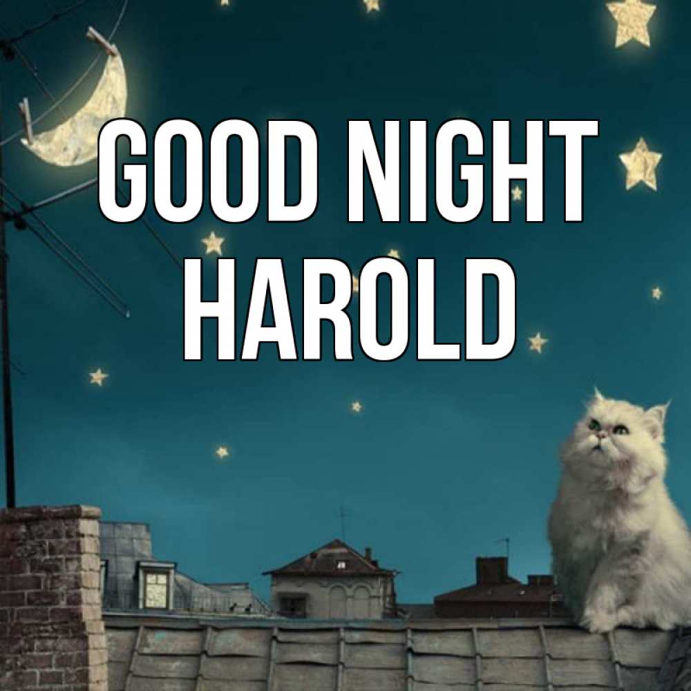 Greetings card с именем, Harold Good night белый кот сидит на крыше Greetings with text for free download 