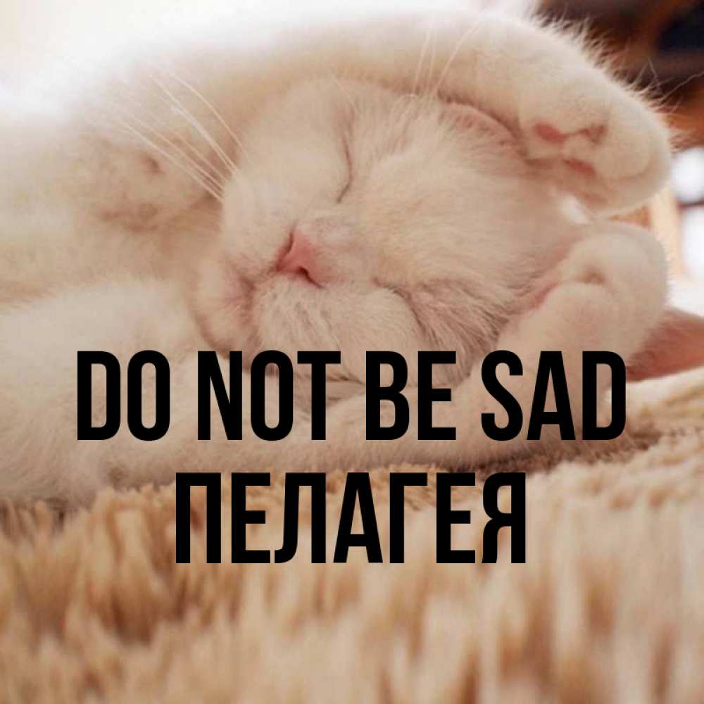 Greetings card с именем, Пелагея Do not be sad Котенок спит Greetings with text for free download 