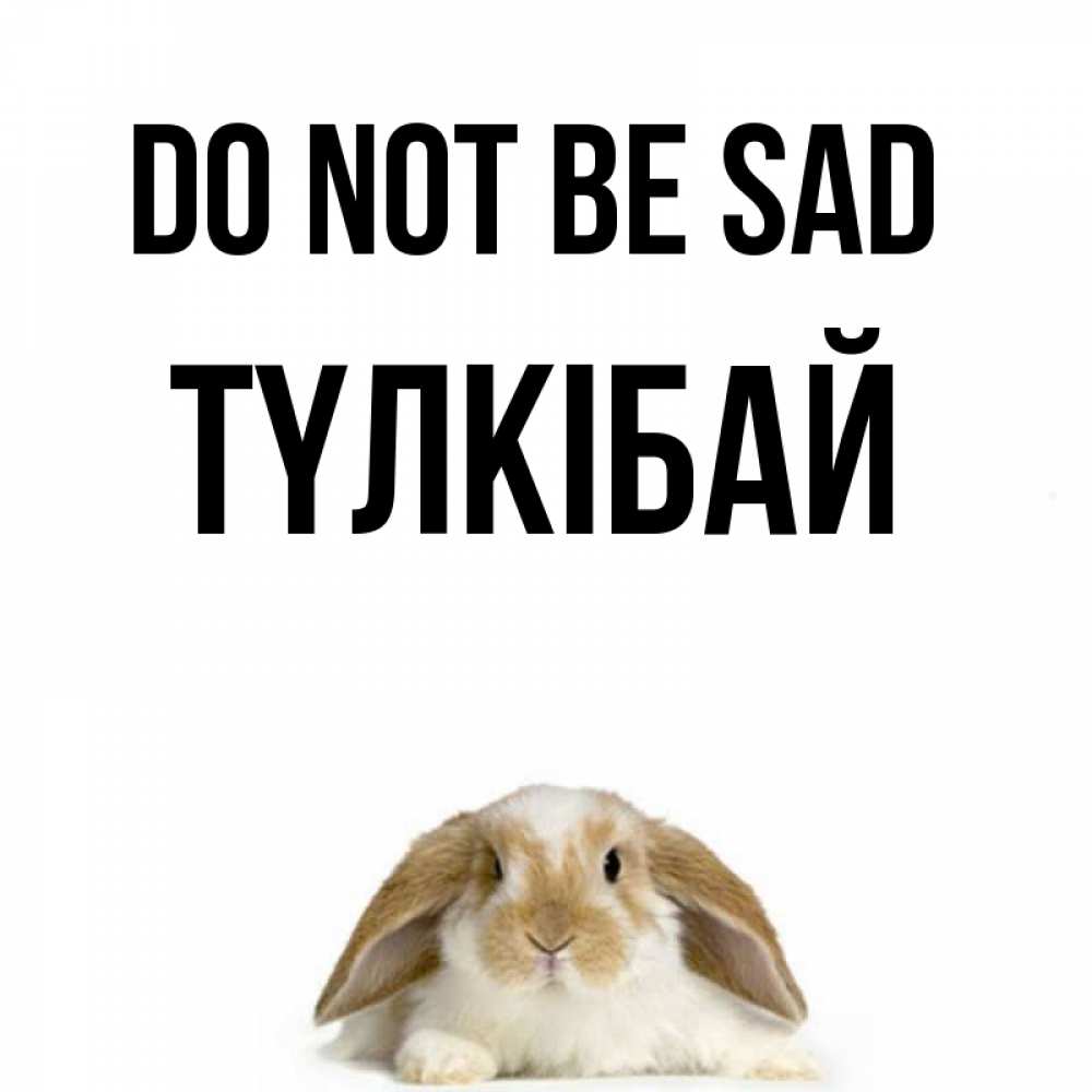Greetings card с именем, ТҮЛКІБАЙ Do not be sad коричнево белый заяц с большими ушками Greetings with text for free download 