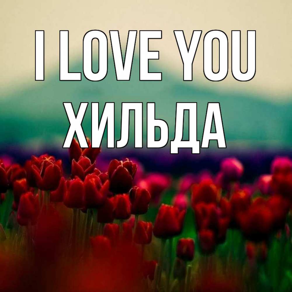 Greetings card с именем, Хильда I love you тюльпаны 4 Greetings with text for free download 