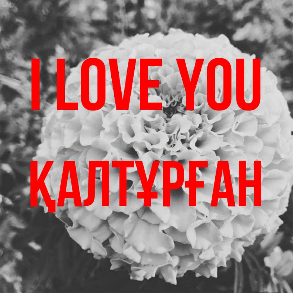 Greetings card с именем, ҚАЛТҰРҒАН I love you подпись Greetings with text for free download 