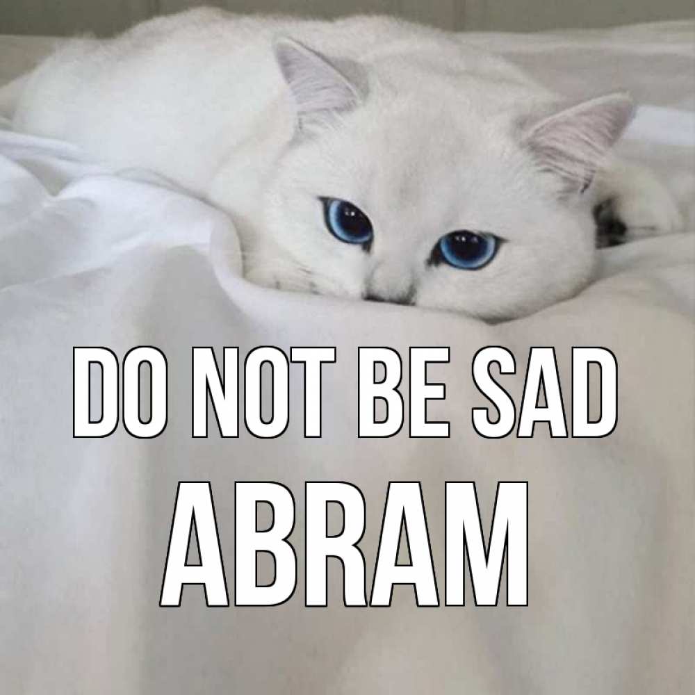 Greetings card с именем, Abram Do not be sad белый кот с голубыми глазами на белоснежной кровати Greetings with text for free download 